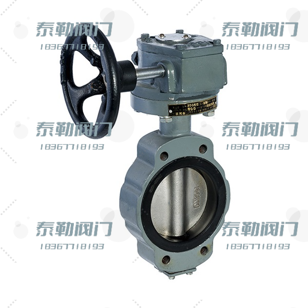 船用中心型涡轮式手动蝶阀GB3036 C型.jpeg